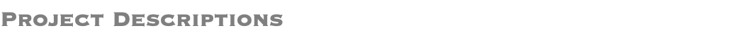 Project Descriptions